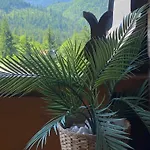 Apartman Krzysztoforow *