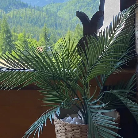 Apartman Krzysztoforow *